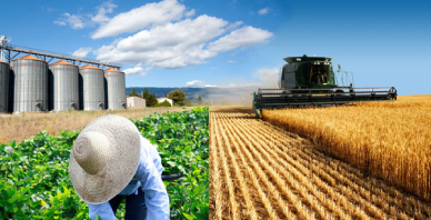 Agriculture
