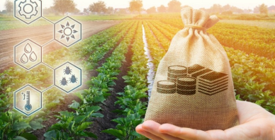 Agribusiness