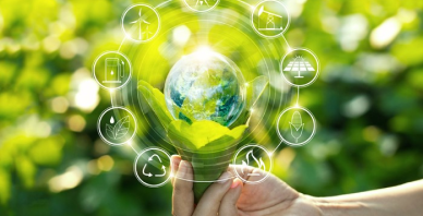 Environmental Services